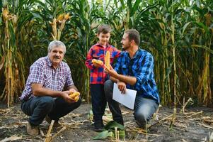 familia agricultura. agricultores abuelo con hijo y joven nieto en un maíz campo. agricultura concepto. foto