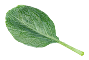 Chinese kale isolated png