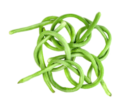 Long bean or cowpea isolated png