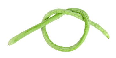 Long bean or cowpea isolated png