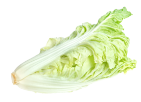 Fresh chinese cabbage isolated png