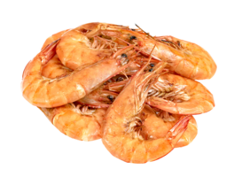 roasted prawn isolated. grilled shrimp png