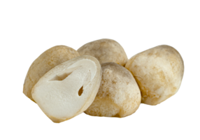 Straw mushroom isolated png