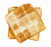 Toasted slice bread isolated png