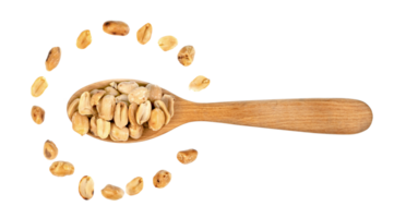 roasted peanuts isolated png