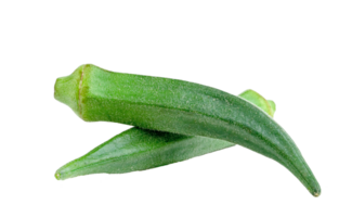 färsk okra isolerat png