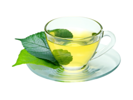 green tea with transparent cup isolated png