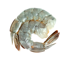Peeled shrimp raw isolated png