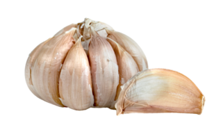 fresh garlic isolated png
