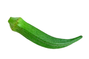 fresh okra isolated png