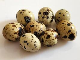 Quail eggs. Group of quail eggs on a white background photo