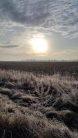 Autumn morning. Frosty autumn morning. Sun in autumn landscape photo