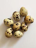 Quail eggs. Group of quail eggs on a white background photo