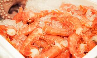 Fresh Seafood Display of Shrimp on Crushed Ice photo