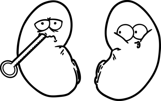 Karikatur ungesund Niere Symbol png