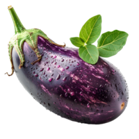 ai gegenereerd aubergine png. aubergine groente geïsoleerd. aubergine top visie png. biologisch groente aubergine vlak leggen png