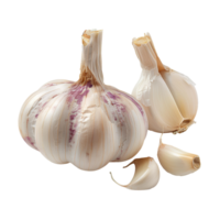 AI generated Garlic PNG. Clove of garlic isolated. Garlic top view PNG. Garlic flat lay PNG Flavourful garlic herb for food preparations