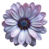 AI generated flower png top view. flower flat lay png. spring time flower isolated