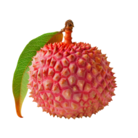 ai genererad litchi frukt png. litchi topp se png. litchi platt lägga isolerat. exotisk frukt litchi isolerat png