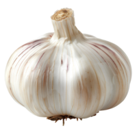 AI generated Garlic PNG. Clove of garlic isolated. Garlic top view PNG. Garlic flat lay PNG Flavourful garlic herb for food preparations