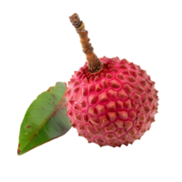 ai generado lychee Fruta png. lychee parte superior ver png. lychee plano laico aislado. exótico Fruta lychee aislado png