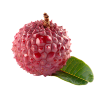 AI generated Lychee fruit PNG. Lychee top view PNG. Lychee flat lay isolated. Exotic fruit lychee isolated png