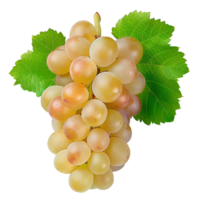 AI generated White grapes PNG. Centennial grapes isolated. Table grape of Centennial for food purposes PNG. Grape flat lay. White grapes top view PNG