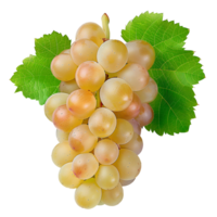 ai generado blanco uvas png. centenario uvas aislado. mesa uva de centenario para comida propósitos png. uva plano poner. blanco uvas parte superior ver png