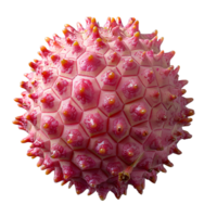 ai generado lychee Fruta png. lychee parte superior ver png. lychee plano laico aislado. exótico Fruta lychee aislado png