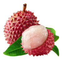 ai généré litchi fruit png. litchi Haut vue png. litchi plat allonger isolé. exotique fruit litchi isolé png