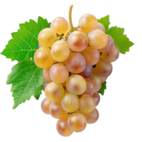 AI generated White grapes PNG. Centennial grapes isolated. Table grape of Centennial for food purposes PNG. Grape flat lay. White grapes top view PNG