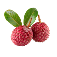 ai généré litchi fruit png. litchi Haut vue png. litchi plat allonger isolé. exotique fruit litchi isolé png