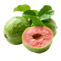 AI generated guava fruit PNG. Guava isolated. Tropical fruit guava top view PNG. Guava flat lay PNG