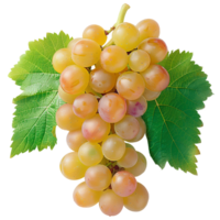 AI generated White grapes PNG. Centennial grapes isolated. Table grape of Centennial for food purposes PNG. Grape flat lay. White grapes top view PNG