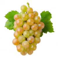 AI generated White grapes PNG. Centennial grapes isolated. Table grape of Centennial for food purposes PNG. Grape flat lay. White grapes top view PNG