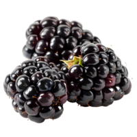AI generated Blackberry fruit PNG. Blackberries isolated. Blackberry top view PNG. Blackberries flat lay PNG