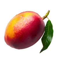 ai gegenereerd mango png. tropisch fruit mango geïsoleerd. mango plakjes png. mango top visie png. mango vlak leggen PNG