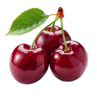 AI generated Red cherry with stem PNG. Red cherries PNG. Wild red cherry isolated. Cherry with a steam and a leaf PNG