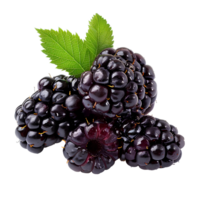 ai generado Mora Fruta png. moras aislado. Mora parte superior ver png. moras plano laico png