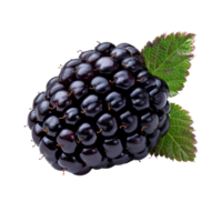 AI generated Blackberry fruit PNG. Blackberries isolated. Blackberry top view PNG. Blackberries flat lay PNG
