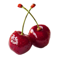 AI generated Red cherry with stem PNG. Red cherries PNG. Wild red cherry isolated. Cherry with a steam and a leaf PNG