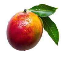 ai generiert Mango png. tropisch Obst Mango isoliert. Mango Scheiben png. Mango oben Aussicht png. Mango eben legen png