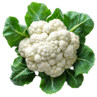 ai gegenereerd bloemkool png. bloemkool groente geïsoleerd. biologisch groente bloemkool png. bloemkool top visie png. bloemkool vlak leggen PNG