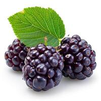 AI generated Ripe and tasty black mulberries on a white isolated background - AI generated image photo