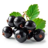 AI generated Black currant berries on a white isolated background - AI generated image photo
