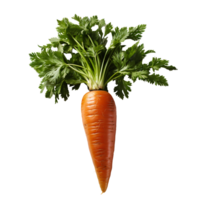 ai gerado cenouras png. cenoura topo Visão png. cenoura plano deitar. orgânico vegetal do cenoura isolado png