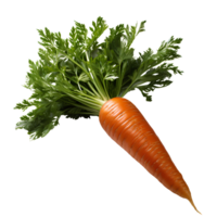 ai generado zanahorias png. Zanahoria parte superior ver png. Zanahoria plano poner. orgánico vegetal de Zanahoria aislado png