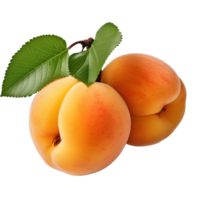 ai genererad aprikos png. aprikos frukt med löv png. organisk frukt av aprikos isolerat. aprikos platt lägga png. aprikos topp se png