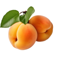 ai generado albaricoque png. albaricoque Fruta con hojas png. orgánico Fruta de albaricoque aislado. albaricoque plano laico png. albaricoque parte superior ver png