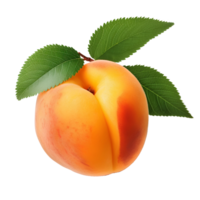 AI generated apricot png. apricot fruit with leaves png. organic fruit of apricot isolated. apricot flat lay png. apricot top view png